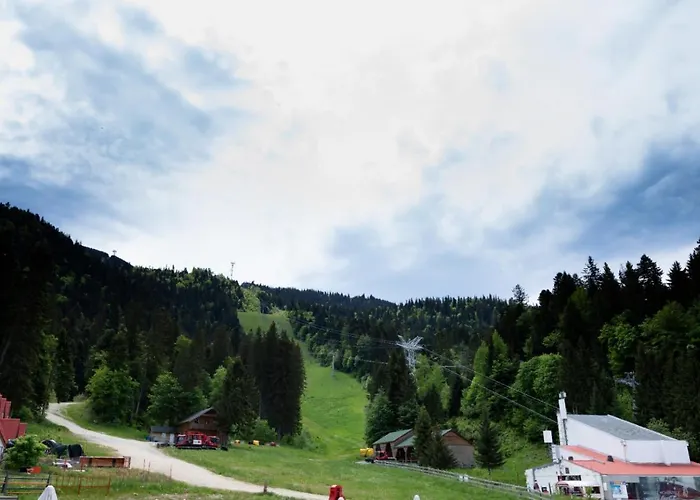 Poiana Brasov Cheap Hotels near Nijo Castle