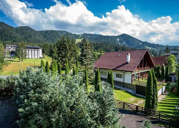 Pensiunea Sura Dacilor - Alex Poiana Brasov - 4 star Hotel