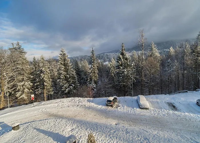 Pet friendly Silver Sunrise Studio In Silver Mountain Poiana Brasov