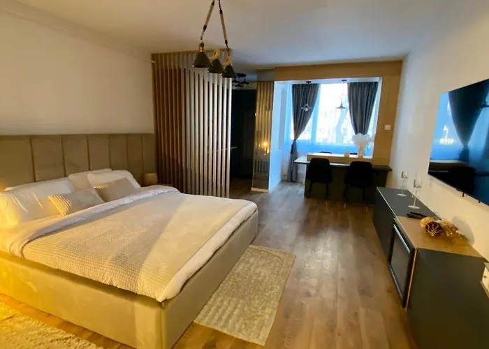 Pet friendly Zabeel Studio Brasov