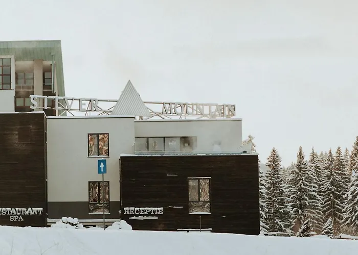 Silver Pine Apartment Poiana Brasov