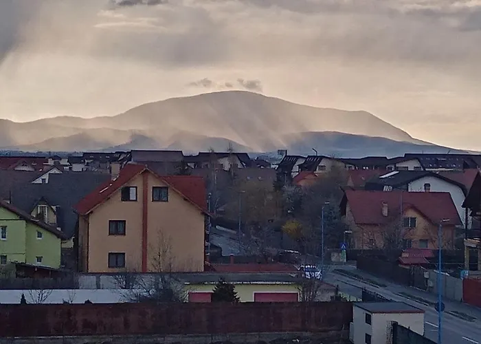 Casa Elena Apartment Brasov