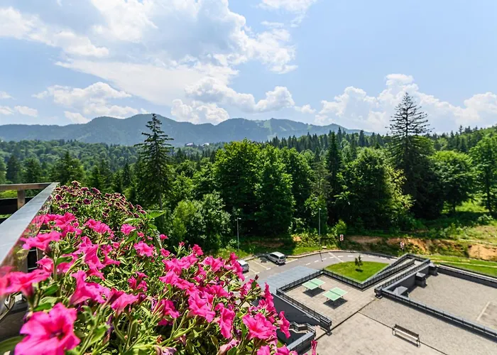 Pet friendly Mio Apartment 38 In Silver Mountain Poiana Brasov