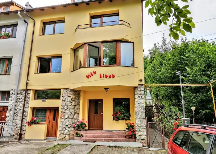 Vila Liana Brasov
