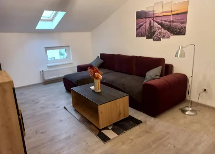 Pet friendly Collot Residence Sibiu