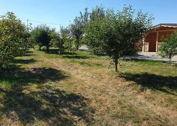 La Cabanute Villa Sibiu