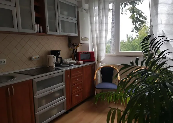 Pet friendly Apartament Ana Poiana Brasov
