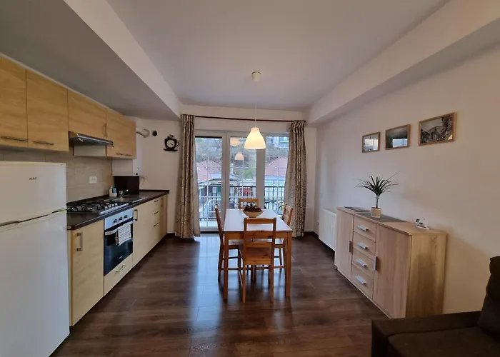 Pet friendly Avram Iancu Private Apartment With Ac Brasov