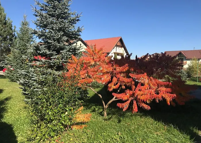 Holiday homes in Carpathians Romania