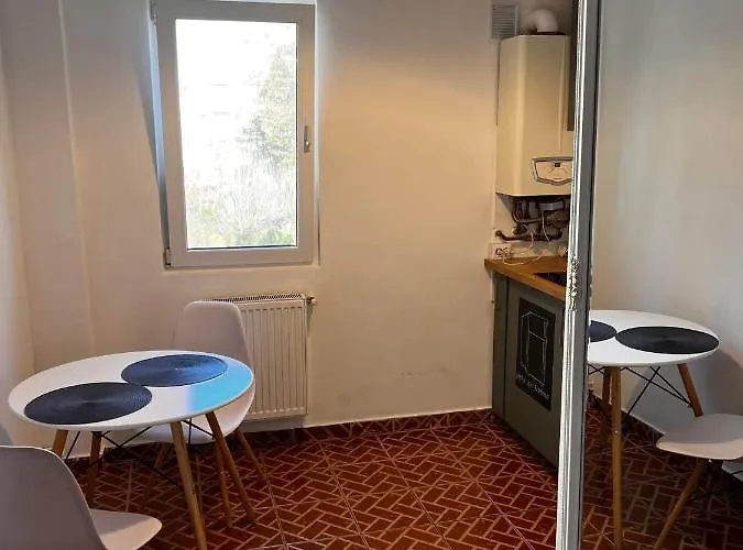 Pet friendly Garsoniera Flamingo Garii 4 Apartment Brasov