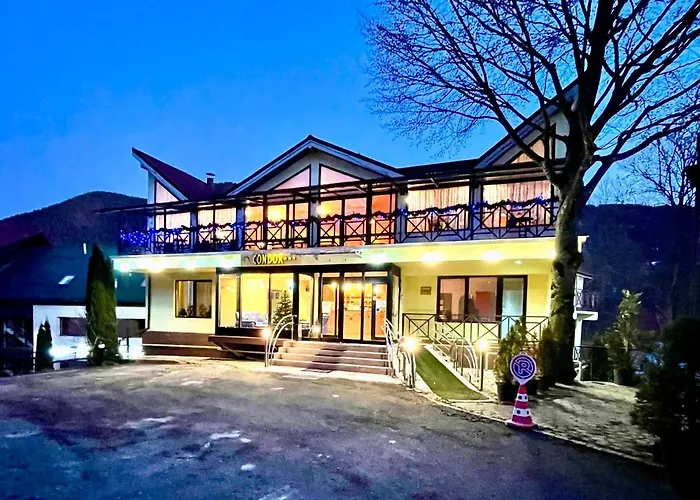 Pet friendly Vila Condor Poiana Brasov