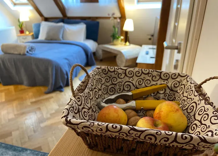 Brasov Pet friendly Vacation Rentals