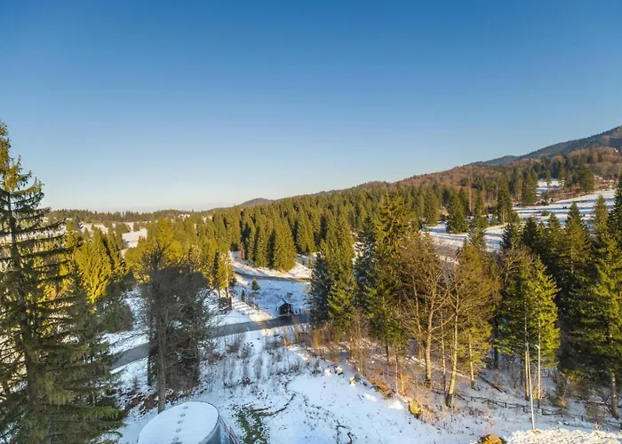 Pet friendly Charming Family Condo In Silver Mountain Poiana Brasov