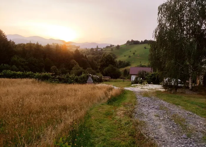 On The Hill Villa Brasov with Pool