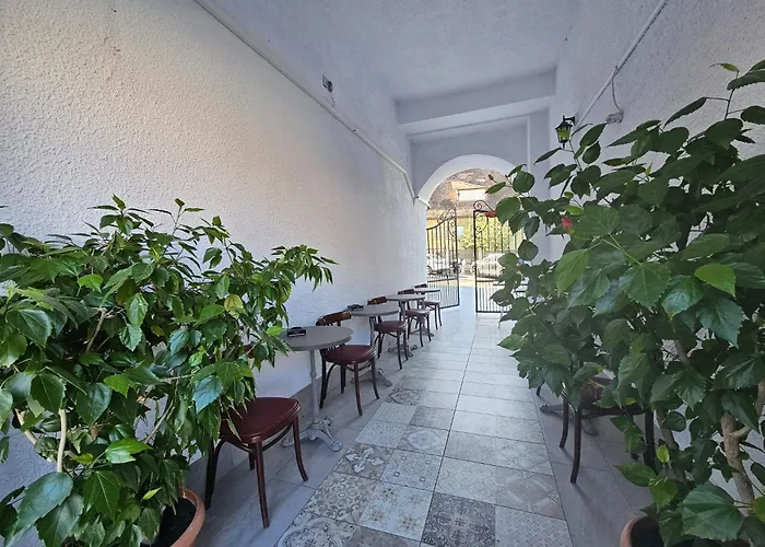 Pet friendly Hotel Apollonia Brasov