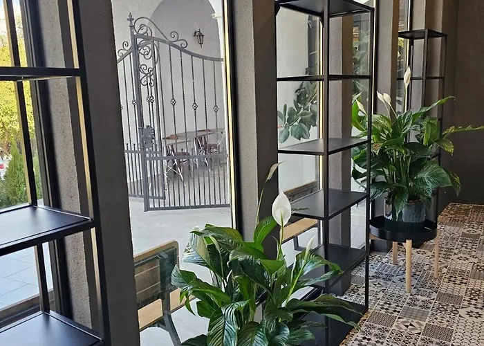 Brasov Cheap Pet friendly Hotels
