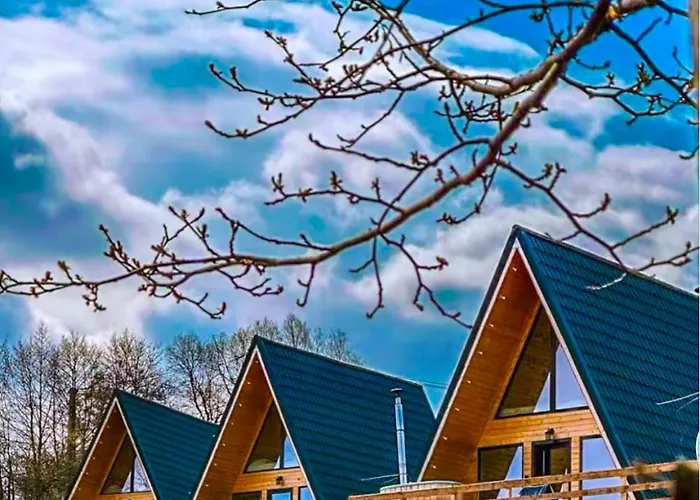 Cabana 365 Brasov