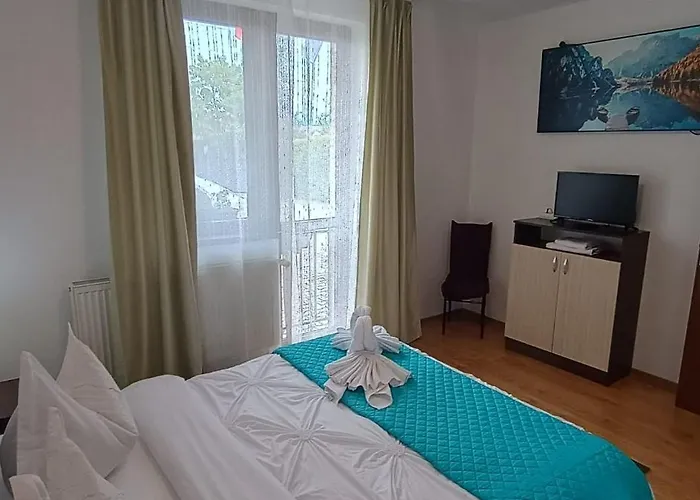 Pet friendly Charter Apartments Costea Sibiu