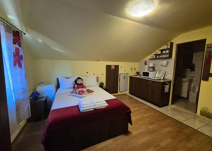 Pet friendly Floare De Colt Apartment Sibiu