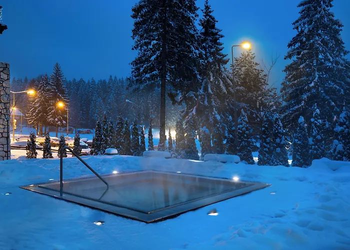 Ana Hotels Bradul Poiana Brasov