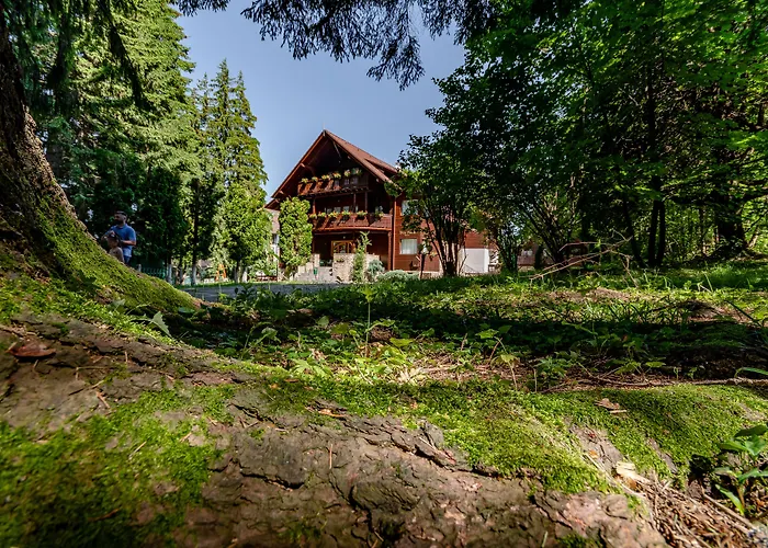 Poiana Brasov Dog Friendly Lodging and Hotels