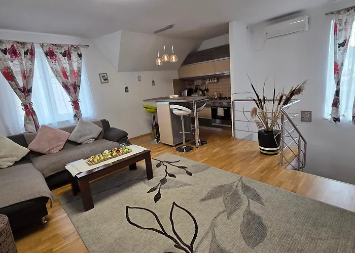 Pet friendly Smiley Apartment Sibiu