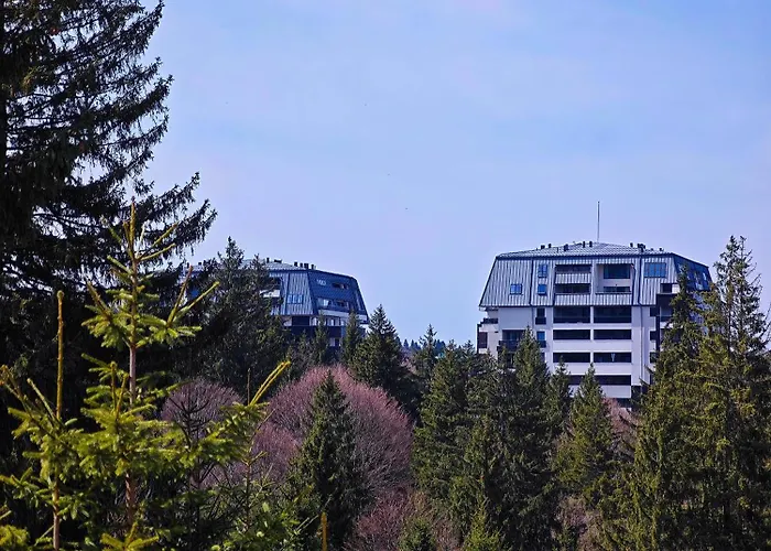 Poiana Brasov Vacation Rentals