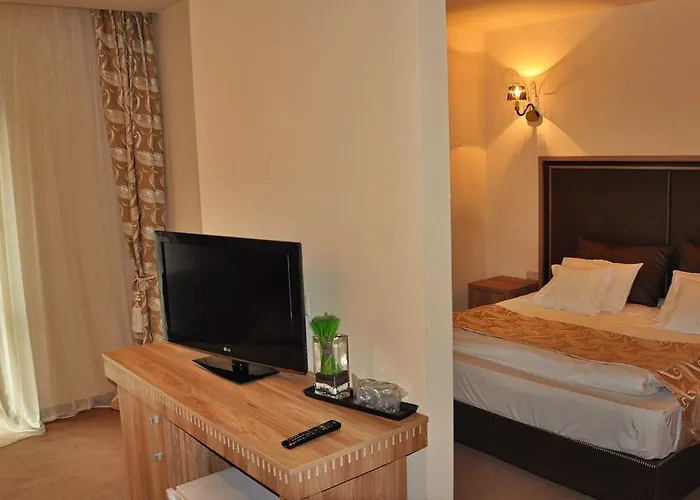 Hotels near Brasov in Brasov