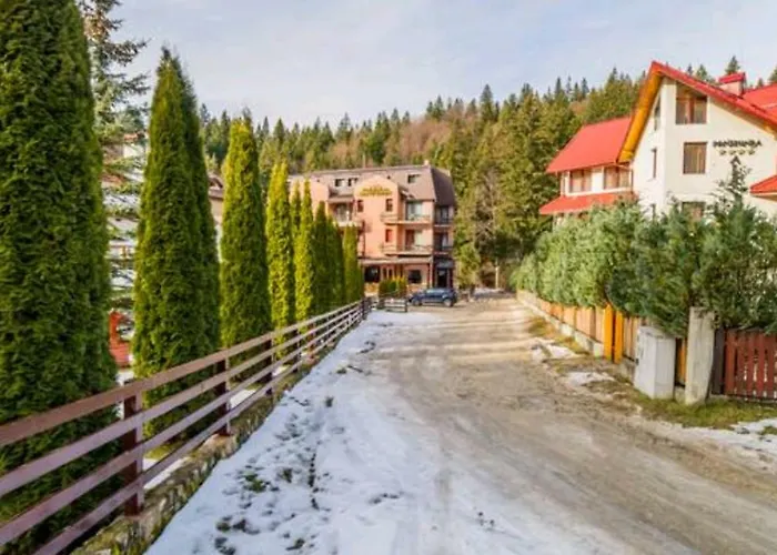 Pet friendly Apartament Andra Poiana Brasov