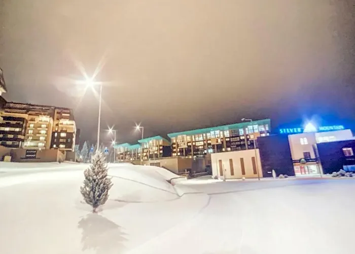 Silver Mountain Apartment Poiana Brasov