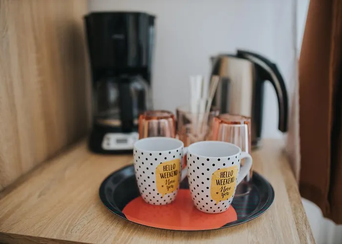 Gavri'S Classic Apartment Sibiu