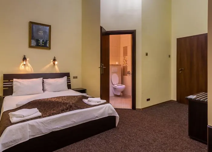 Sibiu hotels near Potters Tower